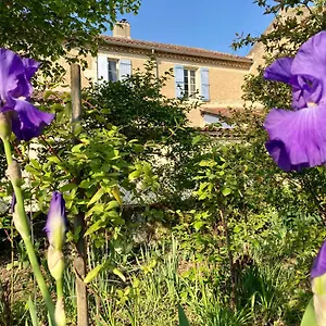 Le Petit Cochon Bed & Breakfast